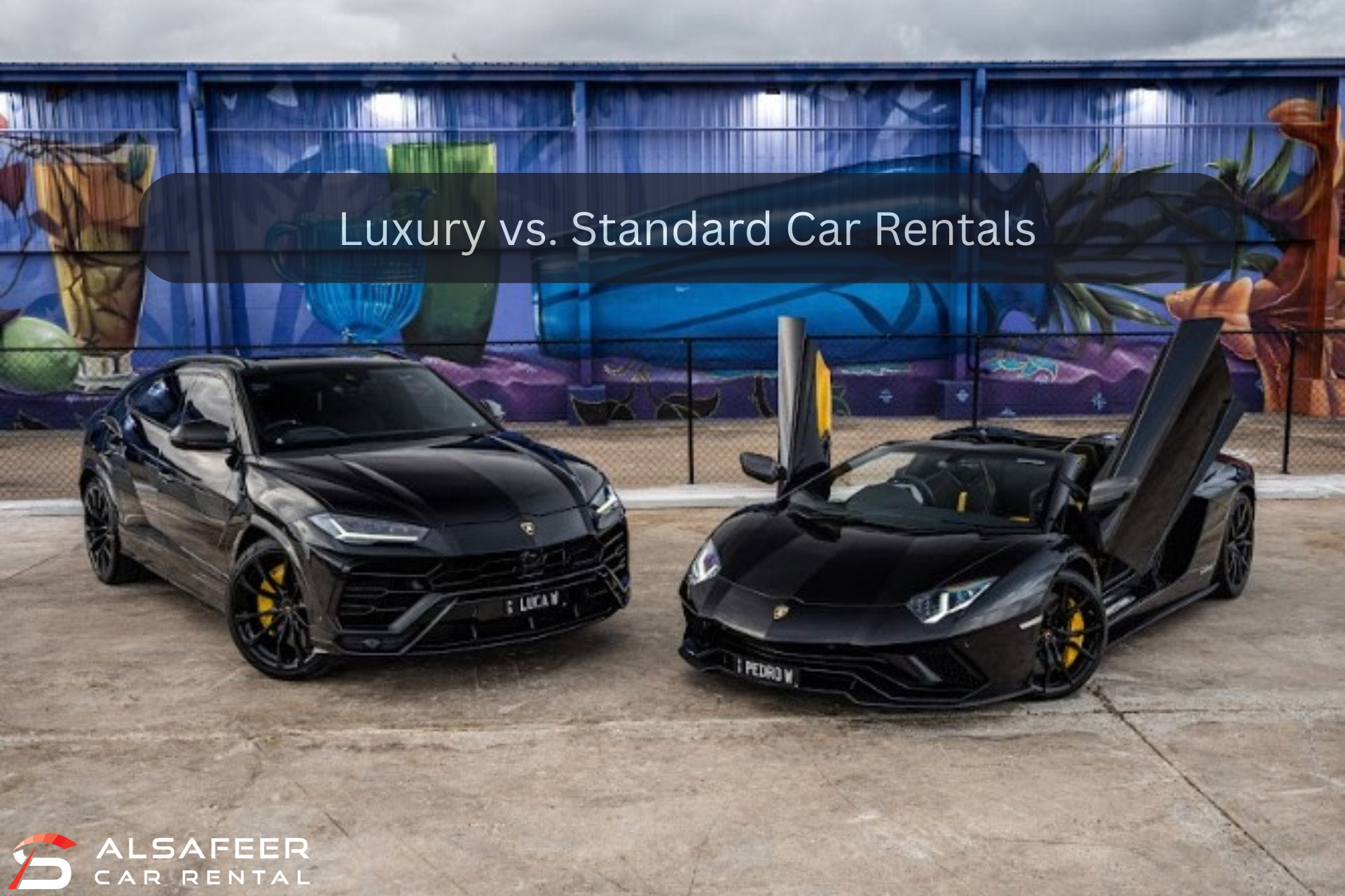 Luxury vs. Standard Car Rentals